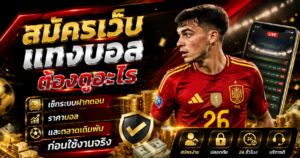 สมัครเว็บแทงบอลต้องดูอะไร