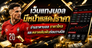 เว็บแทงบอลมีหน้าแสดงราคา