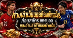 ทางเข้าเว็บบอลต้องเช็กอะไร
