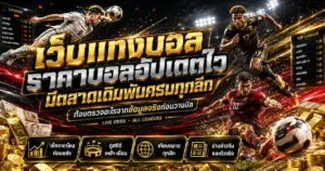 เว็บแทงบอลราคาบอลหลายลีก